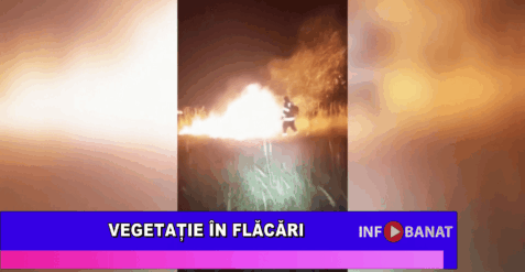 Vegetație în flăcări