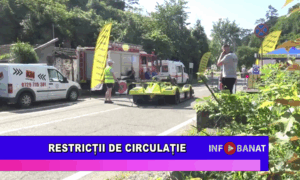 Restricții de circulație
