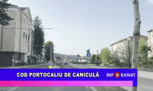 Cod portocaliu de caniculă