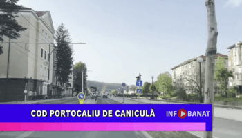 Cod portocaliu de caniculă