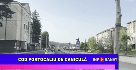 Cod portocaliu de caniculă