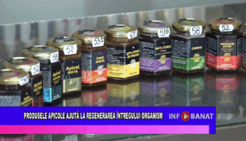 Produsele apicole ajuta la regenerarea întregului organism