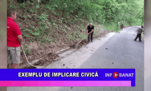Exemplu de implicare civică