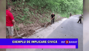Exemplu de implicare civică