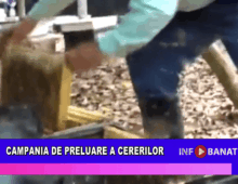 Campania de preluare a cererilor