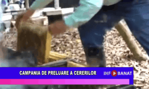Campania de preluare a cererilor