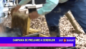 Campania de preluare a cererilor