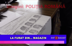 La furat din…    magazin
