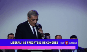 Liberalii se pregătesc de congres