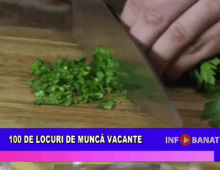 100 de locuri de muncă vacante