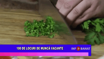 100 de locuri de muncă vacante