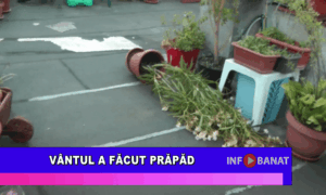 Vântul a făcut prăpăd