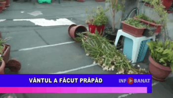 Vântul a făcut prăpăd