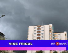 Vine frigul