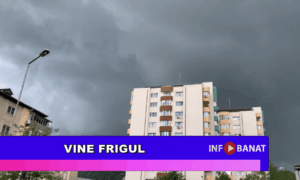 Vine frigul