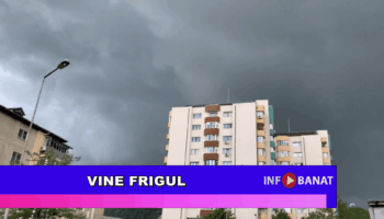 Vine frigul