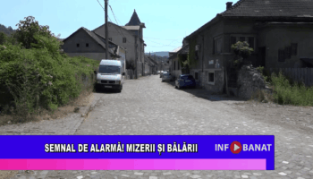 Semnal de alarmă!Mizerii și bălării