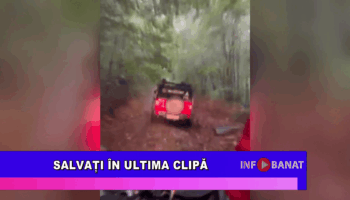 Salvați în ultima clipă