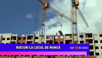 Noi locuri de muncă