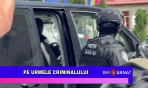 Pe urmele criminalului