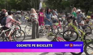 Cochete pe biciclete