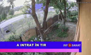 A intrat în tir