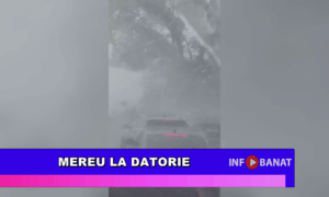 Mereu la datorie