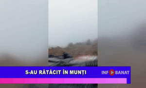 S-au rătăcit în munți