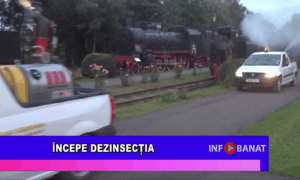 Începe dezinsecția