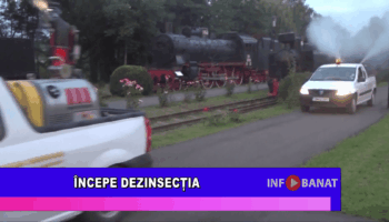 Începe dezinsecția