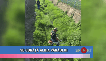 Se curăță albia pârâului