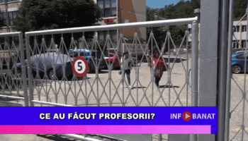 Ce au făcut profesorii?
