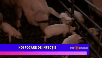 Noi focare de infecție
