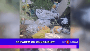 Ce facem cu gunoaiele?