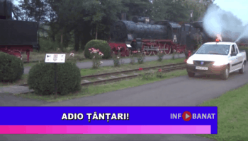 Adio țânțari