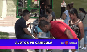 Ajutor pe caniculă