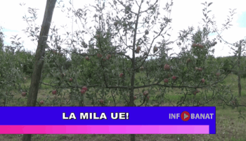 La mila UE