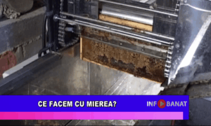 Ce facem cu mierea?