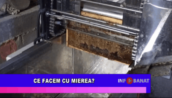 Ce facem cu mierea?