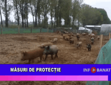Măsuri de protecție