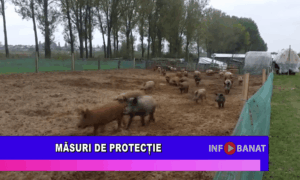 Măsuri de protecție