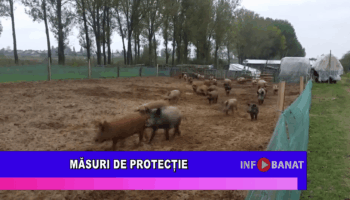 Măsuri de protecție