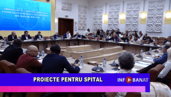 Proiecte pentru spital