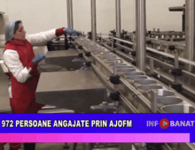 972 persoane angajate prin AJOFM