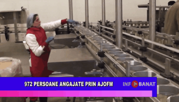 972 persoane angajate prin AJOFM