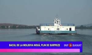 Bacul de la Moldova Nouă, plin de surprize