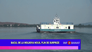 Bacul de la Moldova Nouă, plin de surprize