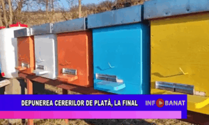 Depunerea cererilor de plată, la final