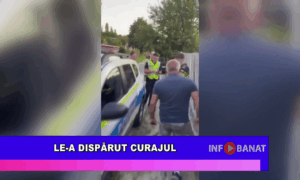 Le a dispărut curajul