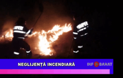 Neglijență incendiară
